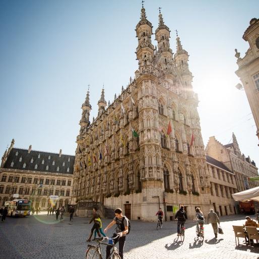 Leuven Stadhuis | ****B&B Bertemnatuur